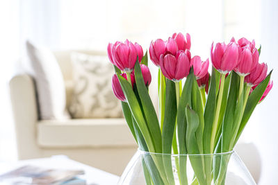 Close-up of pink tulip flower vase on table