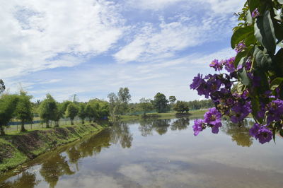 Scenic view of lake by trees against sky