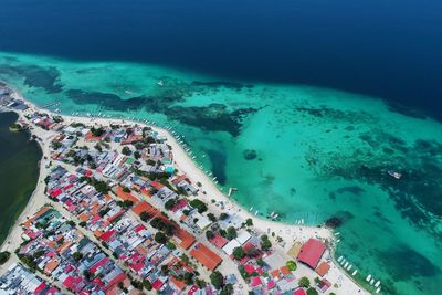 High angle view of swimming in sea