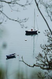 Sailboat floating on lake