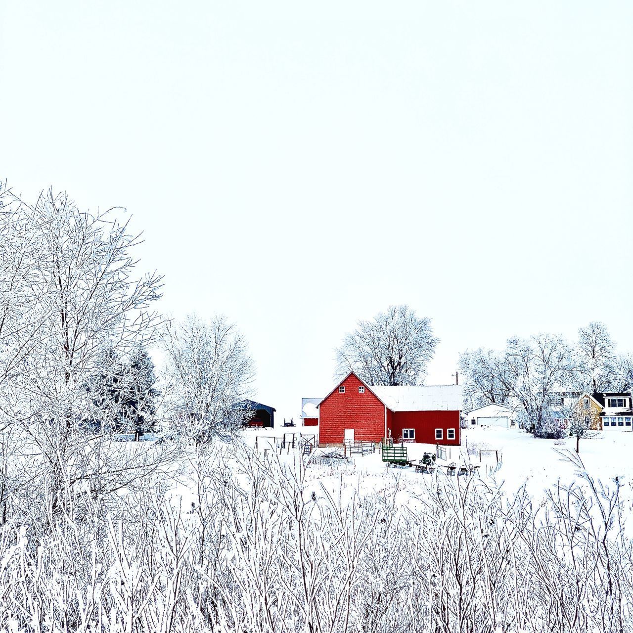 SNOW COVERED HOUSES AND TREES AGAINST SKY