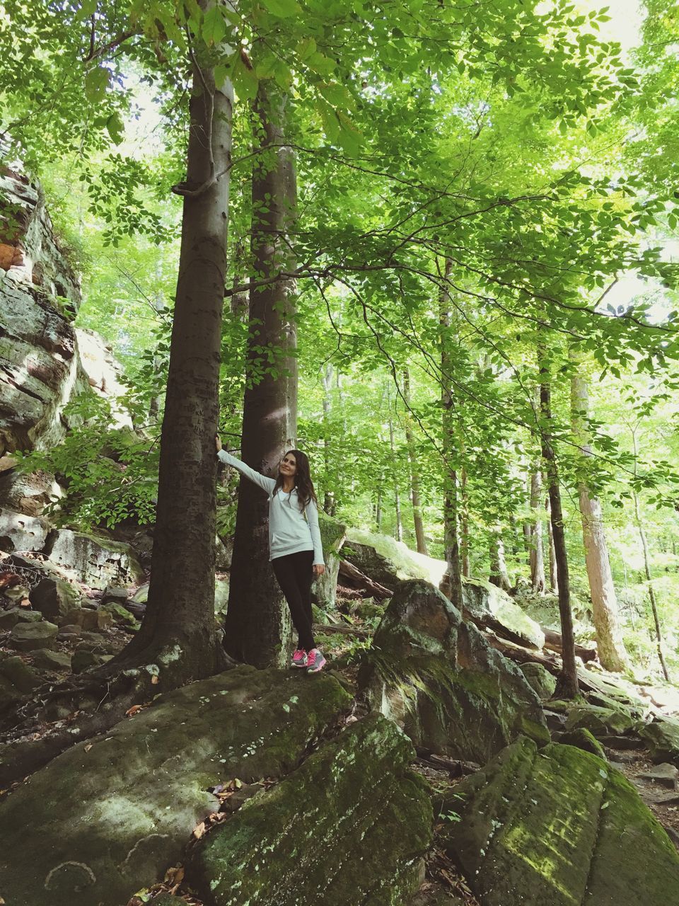 tree, lifestyles, full length, leisure activity, forest, casual clothing, tree trunk, growth, standing, rear view, walking, branch, nature, plant, day, person, green color, outdoors