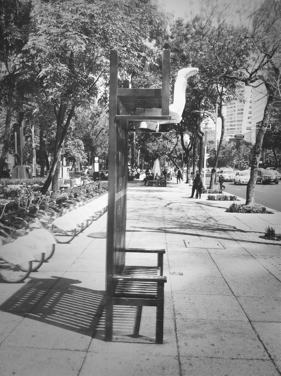 tree, built structure, architecture, building exterior, sunlight, shadow, city, footpath, railing, bench, incidental people, day, sidewalk, chair, empty, park - man made space, outdoors, walkway, the way forward, street