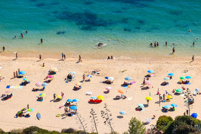 Aerial view from a tropical beach with colorful umbrellas.