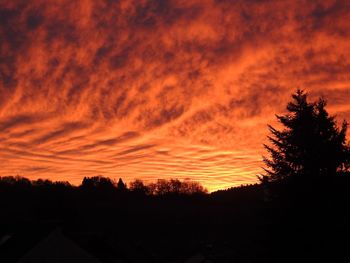 Silhouette trees against orange sky
