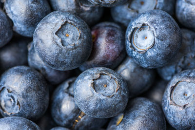 Full frame shot of blueberries