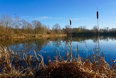 Scenic view of lake against blue sky