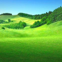 Scenic view of golf course against clear sky