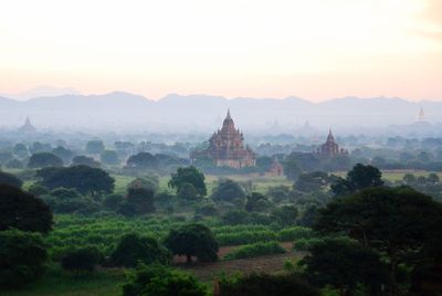 Trees and temples against sky