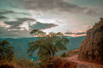 Scenic view of landscape against sky during sunset