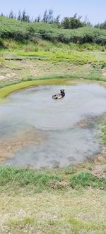 Scenic view of lake