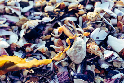 Full frame shot of leaves