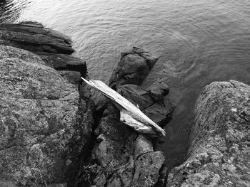 High angle view of driftwood in sea