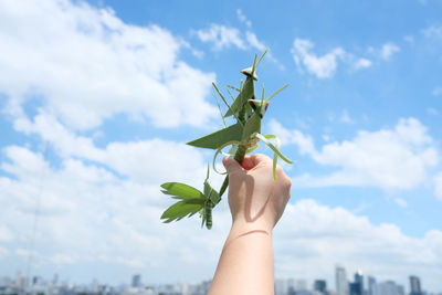 Close-up of hand holding insect against sky