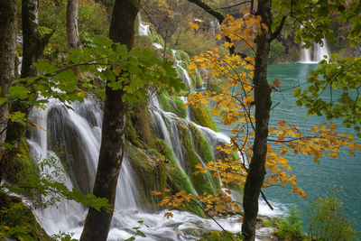 Scenic view of waterfall in forest during autumn