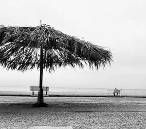 Palm trees on beach against clear sky