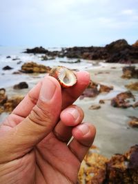 Close-up of hand holding shell on rock