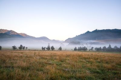 Scenic view of field against sky