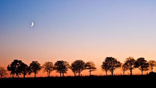 Silhouette trees on field against clear sky during sunset