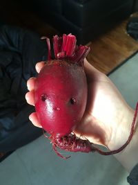 Close-up of hand holding strawberry