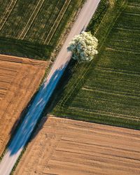 High angle view of road by agricultural field