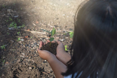 Close-up of woman holding leaf