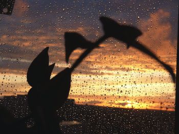 Close-up of hand on wet window at night