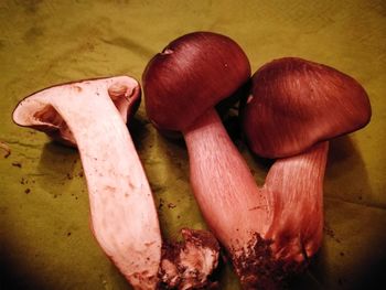 High angle view of mushrooms on table