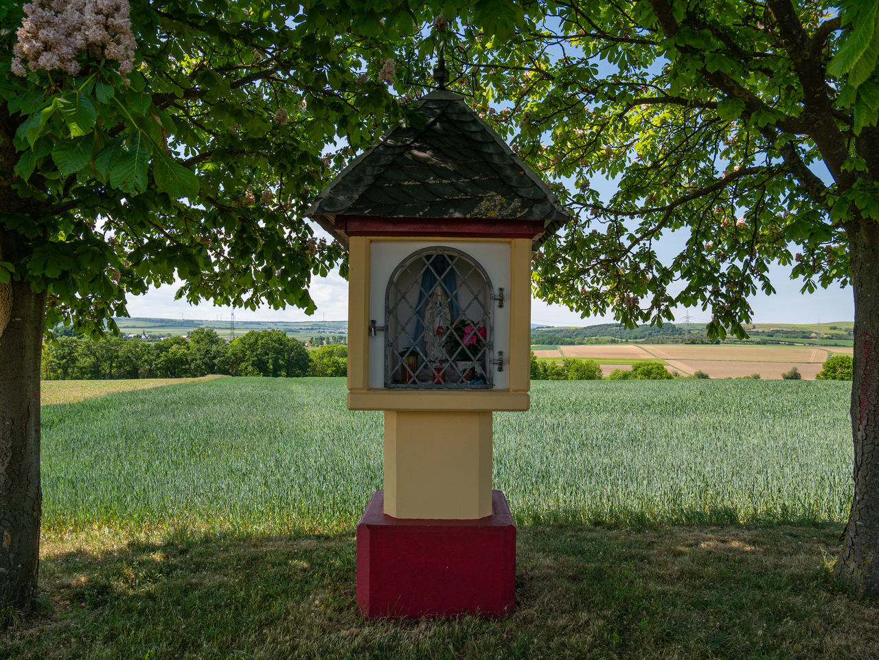 VIEW OF CROSS ON FIELD