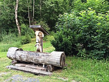 Wooden bench in park