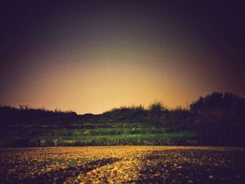 Scenic view of field against clear sky at sunset