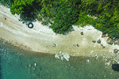 High angle view of wet trees by sea