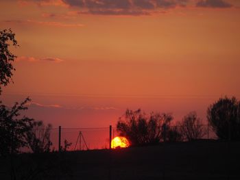 Silhouette trees against sky during sunset