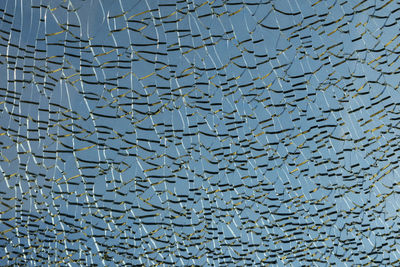 Full frame shot of fishes swimming in glass