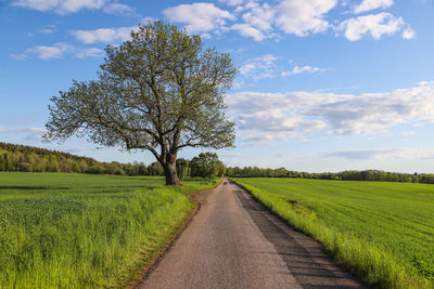 Empty road amidst field against sky