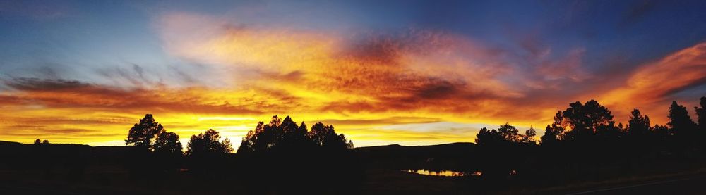 Silhouette trees against sky during sunset