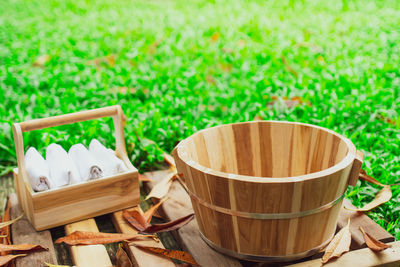 Close-up of potted plant on table