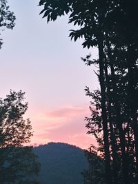 Low angle view of silhouette tree against sky at sunset