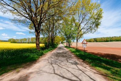 Road amidst trees on field against sky