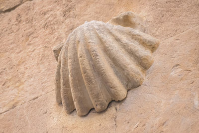 sand