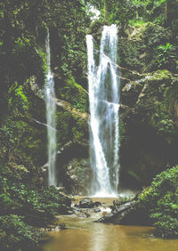 Scenic view of waterfall in forest