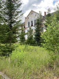 Trees growing on field against building