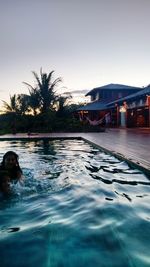 Swimming pool against clear sky