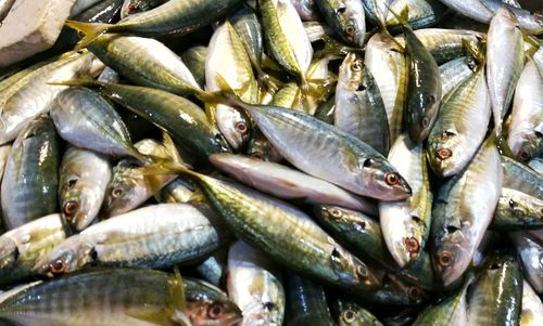 Close-up of fish for sale in market