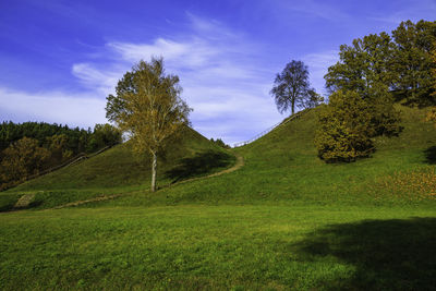 Trees on field against sky