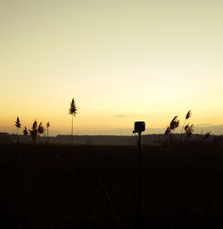 Silhouette plants on field against clear sky during sunset