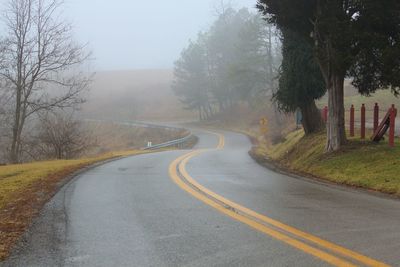 Empty road along trees and plants