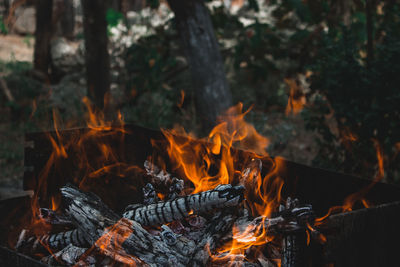 Close-up of bonfire