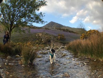 Rear view of men walking on mountain against sky