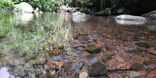 Surface level of stones in lake